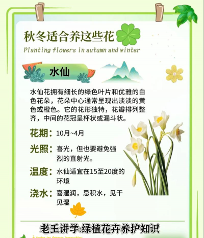 贵阳花卉,挑选技巧,养护要点 贵阳花卉,挑选技巧,养护要点