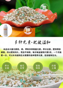 养花的颗粒,选对用好,花才长得旺 养花的颗粒,选对用好,花才长得旺