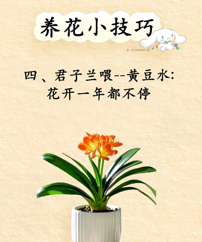 养花教案,轻松上手,快乐教学 养花教案,轻松上手,快乐教学