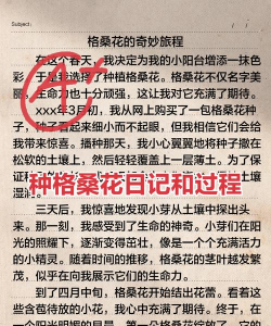 养花的记录,分享日常心得,留住美好瞬间 养花的记录,分享日常心得,留住美好瞬间