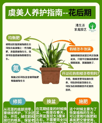 化肥养花,正确使用,避免烧根 化肥养花,正确使用,避免烧根