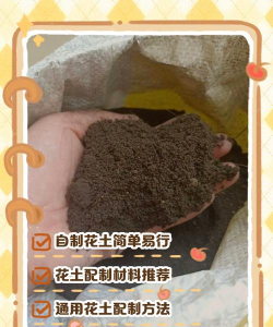 黄沙能养花吗,了解土壤特性,掌握改良方法 黄沙能养花吗,了解土壤特性,掌握改良方法