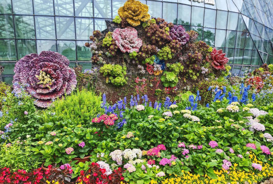 花卉应用,提升生活美感,创造多样场景 花卉应用,提升生活美感,创造多样场景