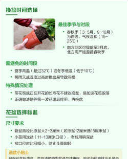 养花换盆注意事项,避免常见错误,提升成活率 养花换盆注意事项,避免常见错误,提升成活率
