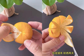 橘子皮晒干养花,废物利用,省钱又环保 橘子皮晒干养花,废物利用,省钱又环保