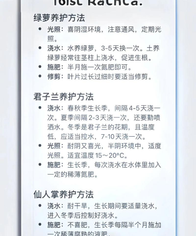 南昌花卉,选购要点,养护技巧 南昌花卉,选购要点,养护技巧