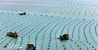 筏式养殖,提升水产效率,优化养殖管理 筏式养殖,提升水产效率,优化养殖管理