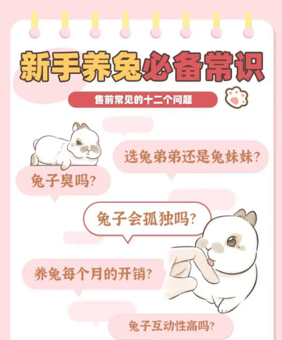 养殖家兔子,新手入门指南,轻松上手技巧 养殖家兔子,新手入门指南,轻松上手技巧