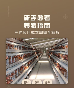 小成本养殖,适合新手起步,轻松实现增收 小成本养殖,适合新手起步,轻松实现增收