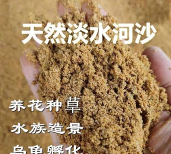养花河沙,选对用好,植物更健康 养花河沙,选对用好,植物更健康