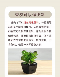 蚊香灰可以养花吗,了解实际效果,避免常见误区 蚊香灰可以养花吗,了解实际效果,避免常见误区