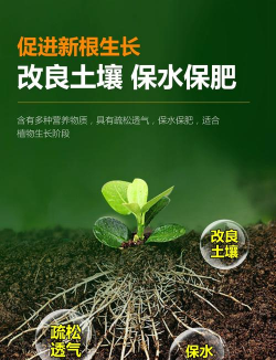 花卉有机肥,提升植物健康,改善土壤环境 花卉有机肥,提升植物健康,改善土壤环境