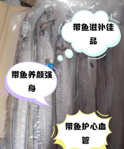 带鱼可以养殖吗,养殖难度大,技术是关键 带鱼可以养殖吗,养殖难度大,技术是关键