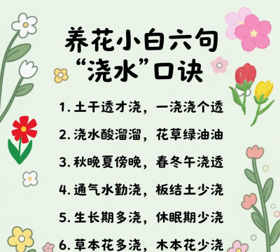 养花浇水小窍门,告别浇水烦恼,轻松养好花 养花浇水小窍门,告别浇水烦恼,轻松养好花