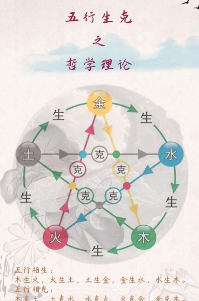 五行与养花,平衡能量,提升植物活力 五行与养花,平衡能量,提升植物活力