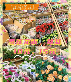 济南花卉市场,买花好去处,品种多价格低 济南花卉市场,买花好去处,品种多价格低