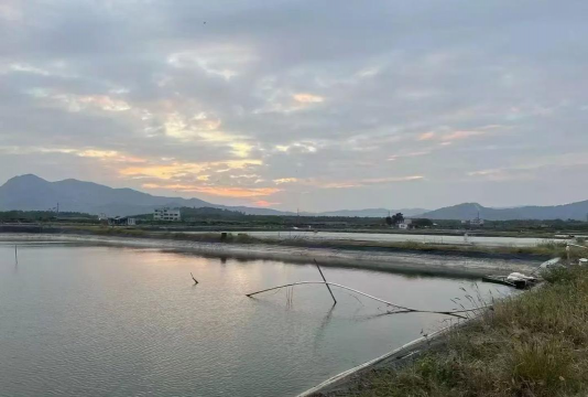 小龙虾养殖专业,掌握核心技术,实现高效养殖 小龙虾养殖专业,掌握核心技术,实现高效养殖