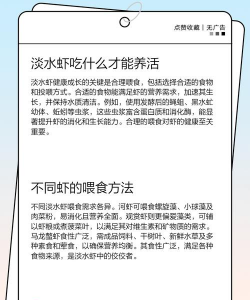 沼泽蓝虾养殖,掌握关键技巧,实现高效产出 沼泽蓝虾养殖,掌握关键技巧,实现高效产出