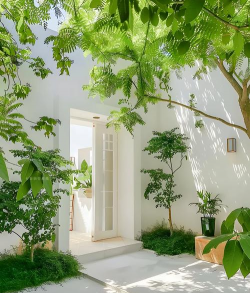 怡养花园,打造心灵栖息地,享受自然慢生活 怡养花园,打造心灵栖息地,享受自然慢生活