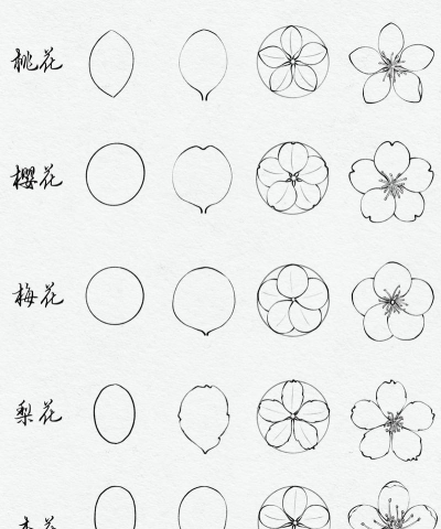 简笔画花卉图片,轻松学画,快速上手 简笔画花卉图片,轻松学画,快速上手