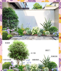 秋天的花卉,哪些品种好养,如何搭配更美 秋天的花卉,哪些品种好养,如何搭配更美