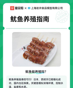 鱿鱼可以养殖吗,技术难点在哪,市场前景如何 鱿鱼可以养殖吗,技术难点在哪,市场前景如何