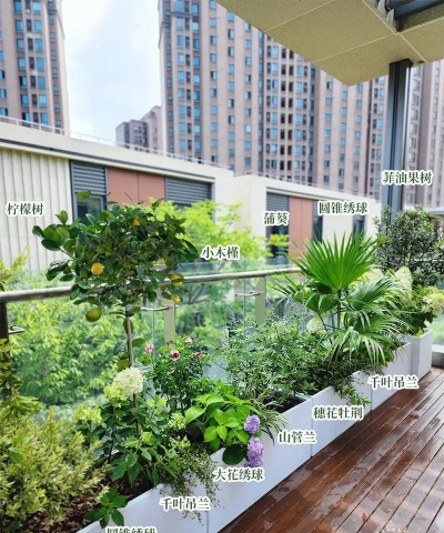 养花的花棚,搭建技巧,养护要点 养花的花棚,搭建技巧,养护要点