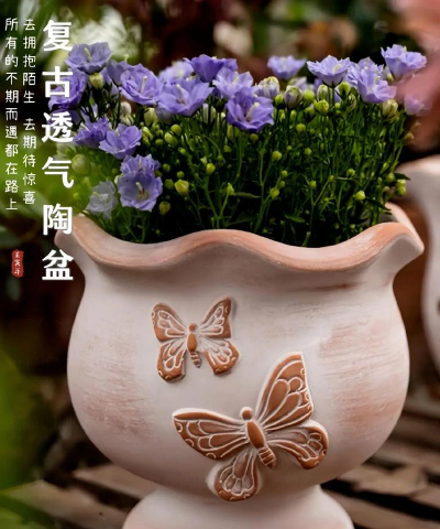 养花陶瓷盆,透气性如何,选对才重要 养花陶瓷盆,透气性如何,选对才重要