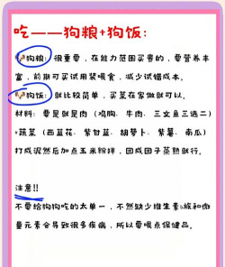 博美犬养殖场,挑选靠谱渠道,注意健康细节 博美犬养殖场,挑选靠谱渠道,注意健康细节