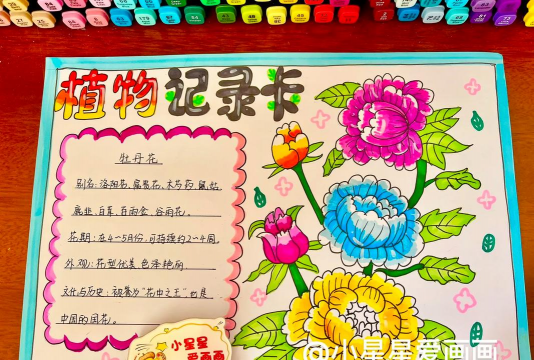 养花手抄报,内容怎么找,排版有技巧 养花手抄报,内容怎么找,排版有技巧