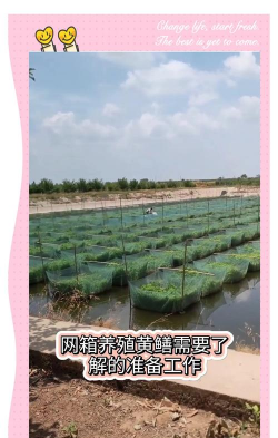 鳝鱼养殖网箱,搭建技巧,养殖要点 鳝鱼养殖网箱,搭建技巧,养殖要点