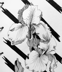 花卉黑白装饰画,提升家居格调,展现艺术品味 花卉黑白装饰画,提升家居格调,展现艺术品味