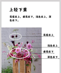 qq空间如何养花,轻松装扮主页,提升个人魅力 qq空间如何养花,轻松装扮主页,提升个人魅力