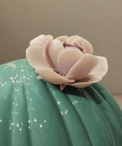 陶球养花,轻松上手,美化家居环境 陶球养花,轻松上手,美化家居环境