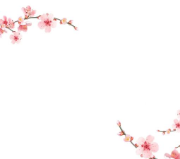 花卉背景图片,提升视觉美感,丰富设计素材 花卉背景图片,提升视觉美感,丰富设计素材