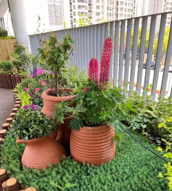 花卉小品,点亮生活角落,增添自然情趣 花卉小品,点亮生活角落,增添自然情趣