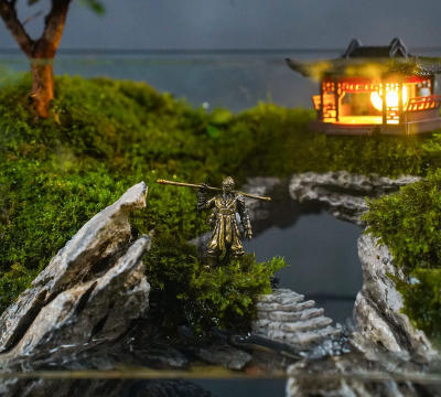 玻璃缸养花,打造微景观,新手也能轻松上手 玻璃缸养花,打造微景观,新手也能轻松上手