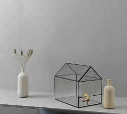 玻璃缸养花,打造迷你花园,享受种植乐趣 玻璃缸养花,打造迷你花园,享受种植乐趣