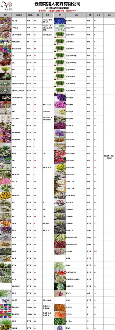 花卉批发,货源渠道,价格优势 花卉批发,货源渠道,价格优势