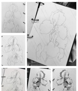 花卉黑白图案,设计灵感来源,创作实用技巧 花卉黑白图案,设计灵感来源,创作实用技巧