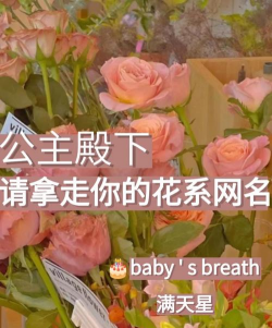 网名以养花,如何起名更出彩,分享几个实用技巧 网名以养花,如何起名更出彩,分享几个实用技巧