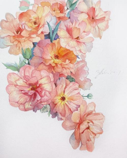 花卉晕染,色彩渐变技巧,打造自然艺术效果 花卉晕染,色彩渐变技巧,打造自然艺术效果