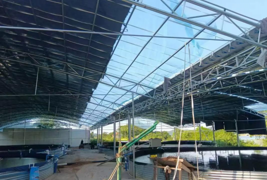 海鲈鱼养殖条件,场地选择关键,水质管理是核心 海鲈鱼养殖条件,场地选择关键,水质管理是核心