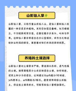 山影的养殖方法,轻松上手,打造独特盆景 山影的养殖方法,轻松上手,打造独特盆景