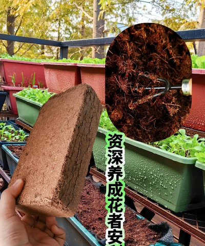 养花椰砖,轻松搞定,新手也能养好花 养花椰砖,轻松搞定,新手也能养好花