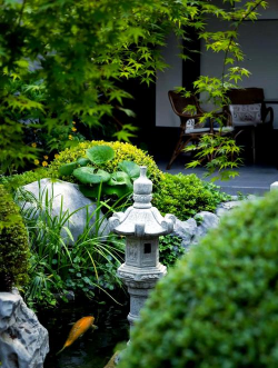 古代养花,传承千年智慧,打造诗意庭院 古代养花,传承千年智慧,打造诗意庭院