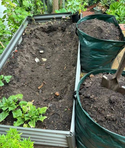 茶叶渣养花,废物利用,植物更健康 茶叶渣养花,废物利用,植物更健康