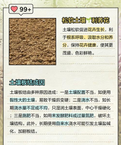 米糠养花,改善土壤,促进生长 米糠养花,改善土壤,促进生长