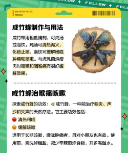 酸蜂养殖视频,新手入门指南,常见问题解答 酸蜂养殖视频,新手入门指南,常见问题解答