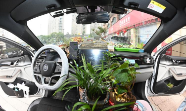 车载养花器,提升车内氛围,轻松养护植物 车载养花器,提升车内氛围,轻松养护植物